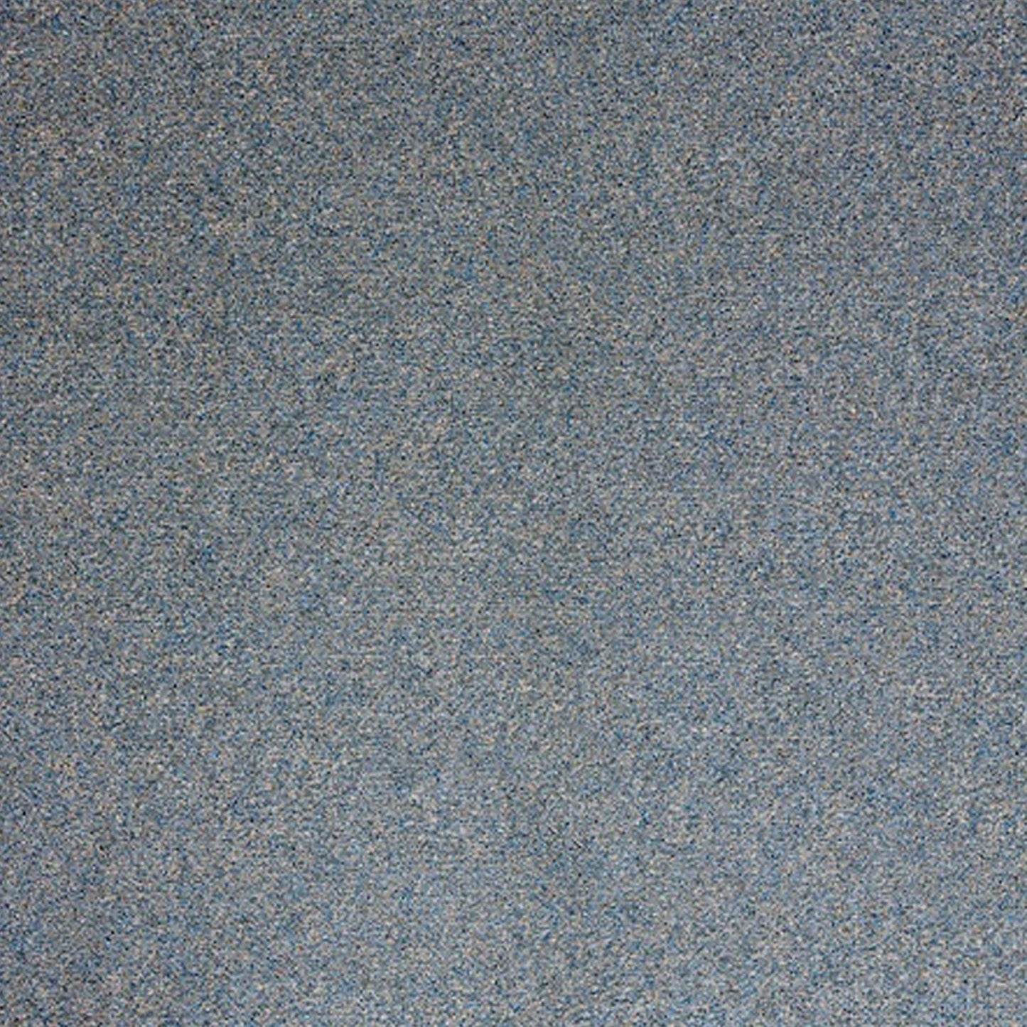 Satisfaction Polypropylene Carpet Collection Polypropylene Carpet by KLD Home