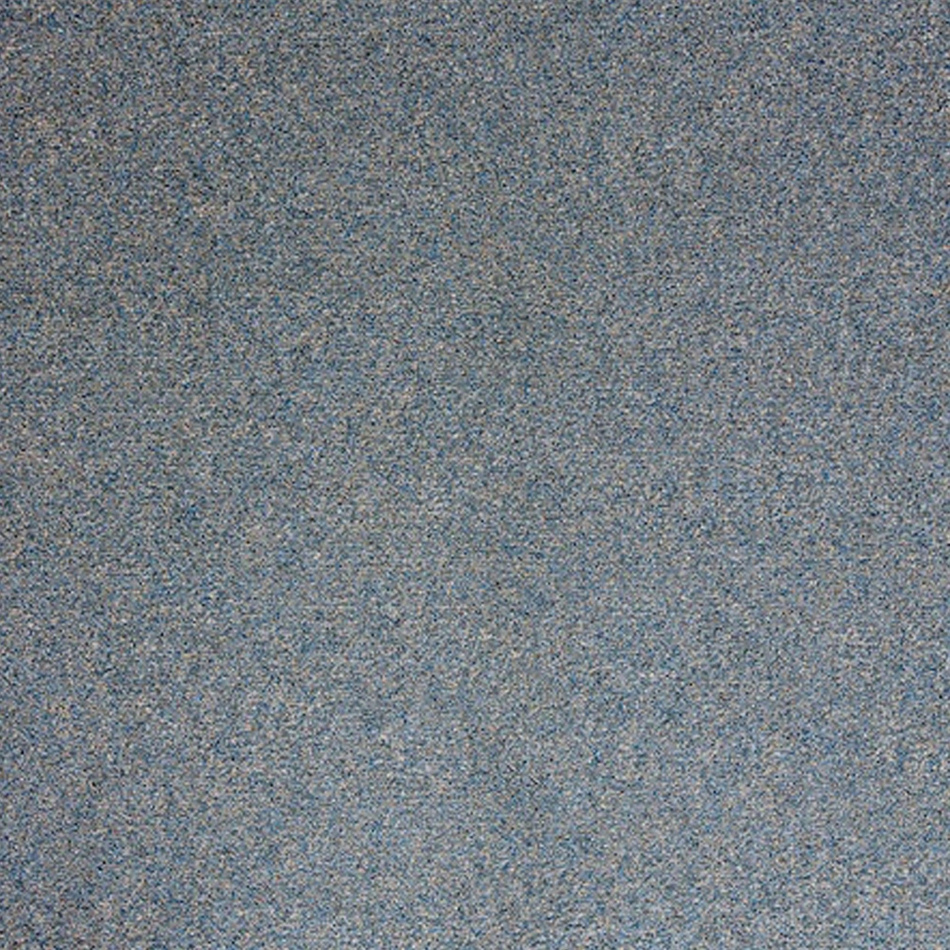 Satisfaction Polypropylene Carpet Collection Polypropylene Carpet by KLD Home