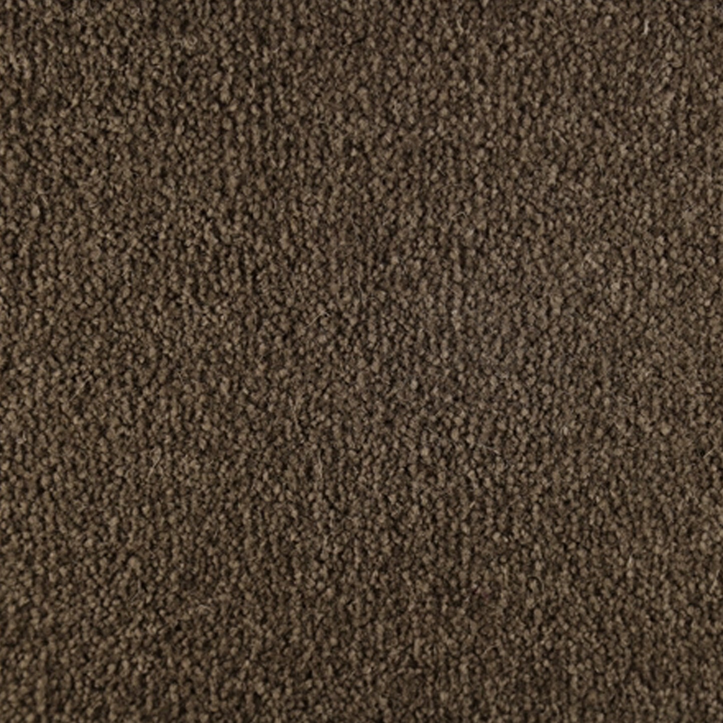 Millicent Wool Blend Carpet Collection Wool Carpet by KLD Home