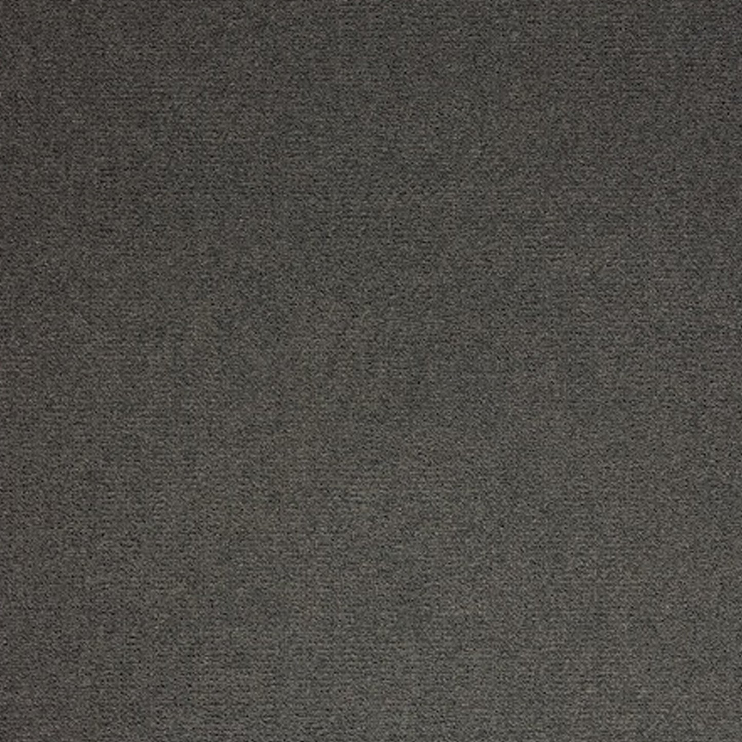Satisfaction Polypropylene Carpet Collection Polypropylene Carpet by KLD Home