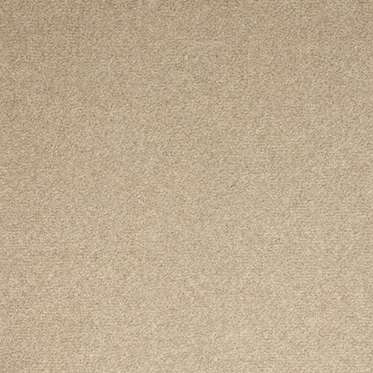 Satisfaction Polypropylene Carpet Collection Polypropylene Carpet by KLD Home