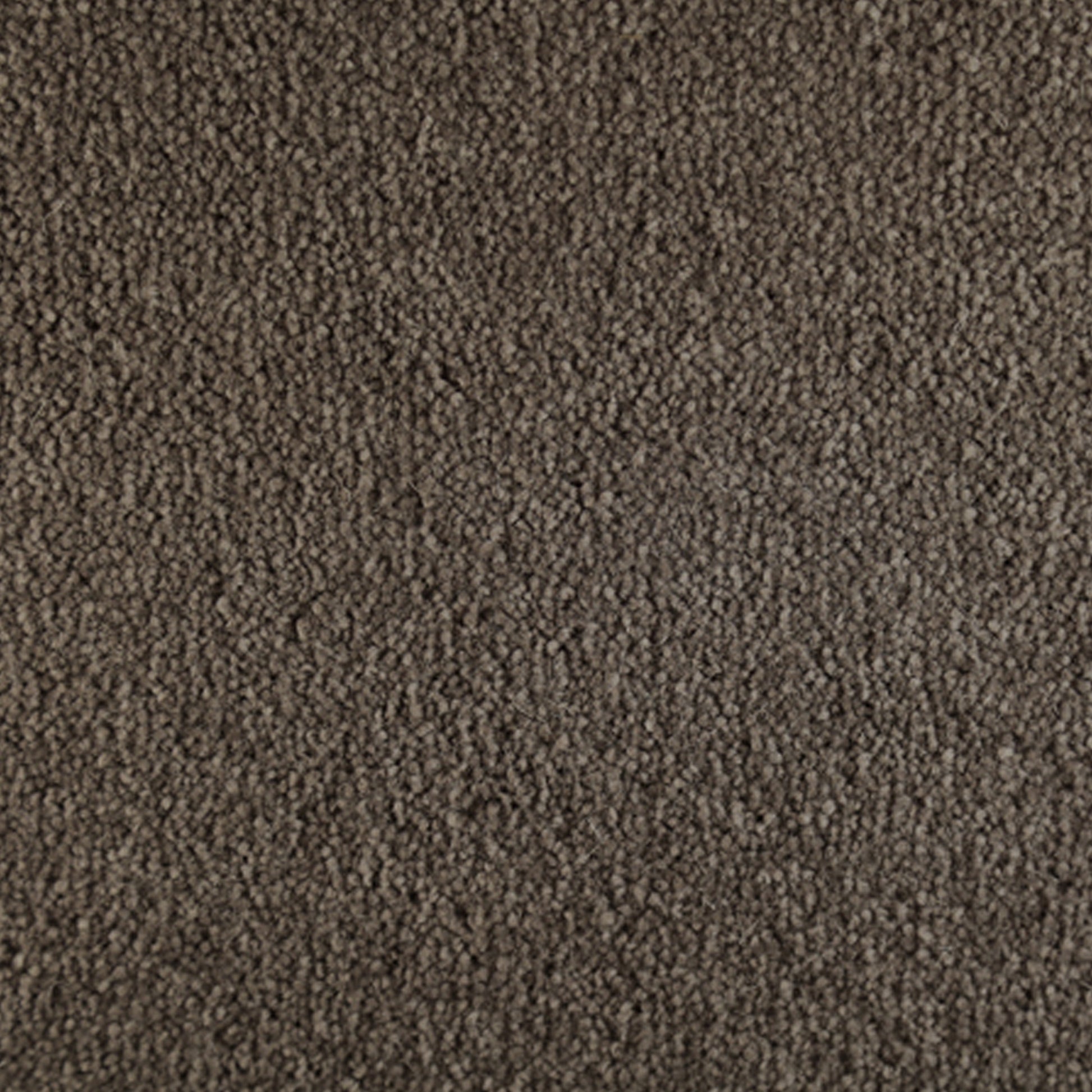 Millicent Wool Blend Carpet Collection Wool Carpet by KLD Home