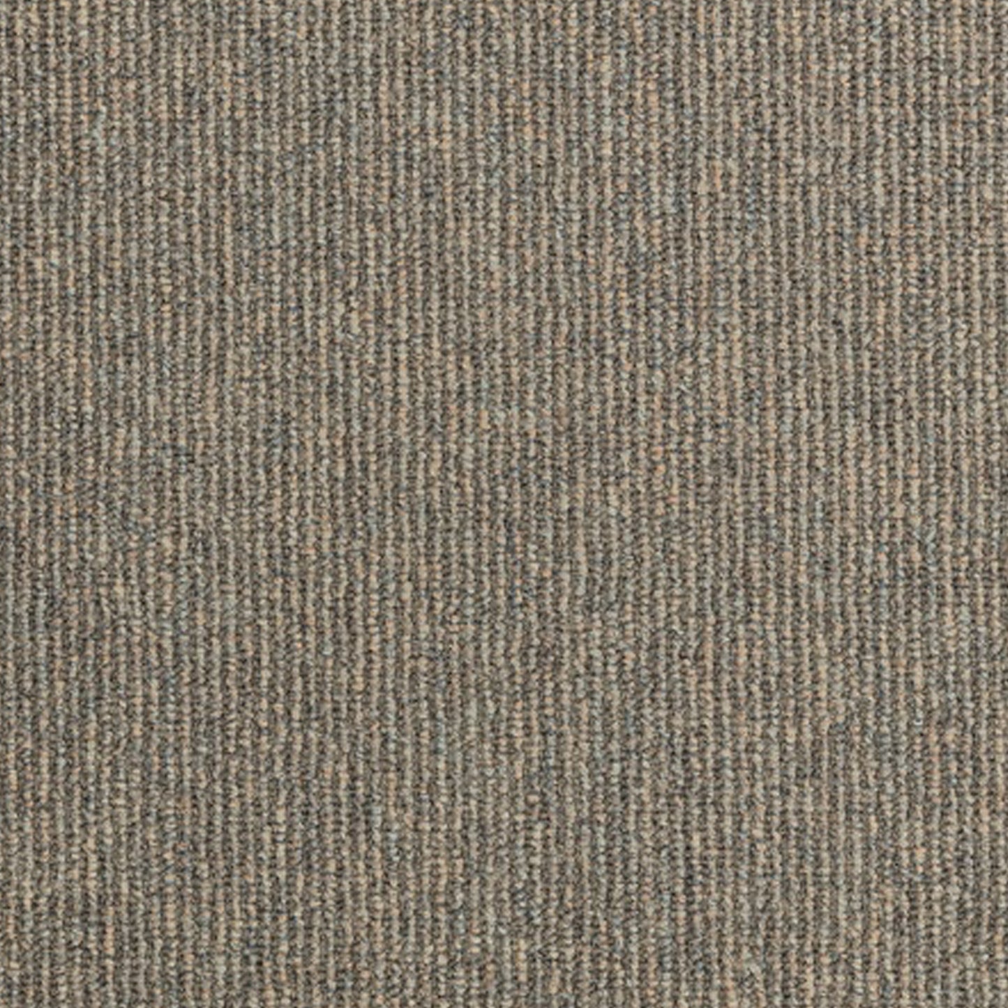 Iron Bark Nylon Carpet Collection Nylon Carpet by KLD Home