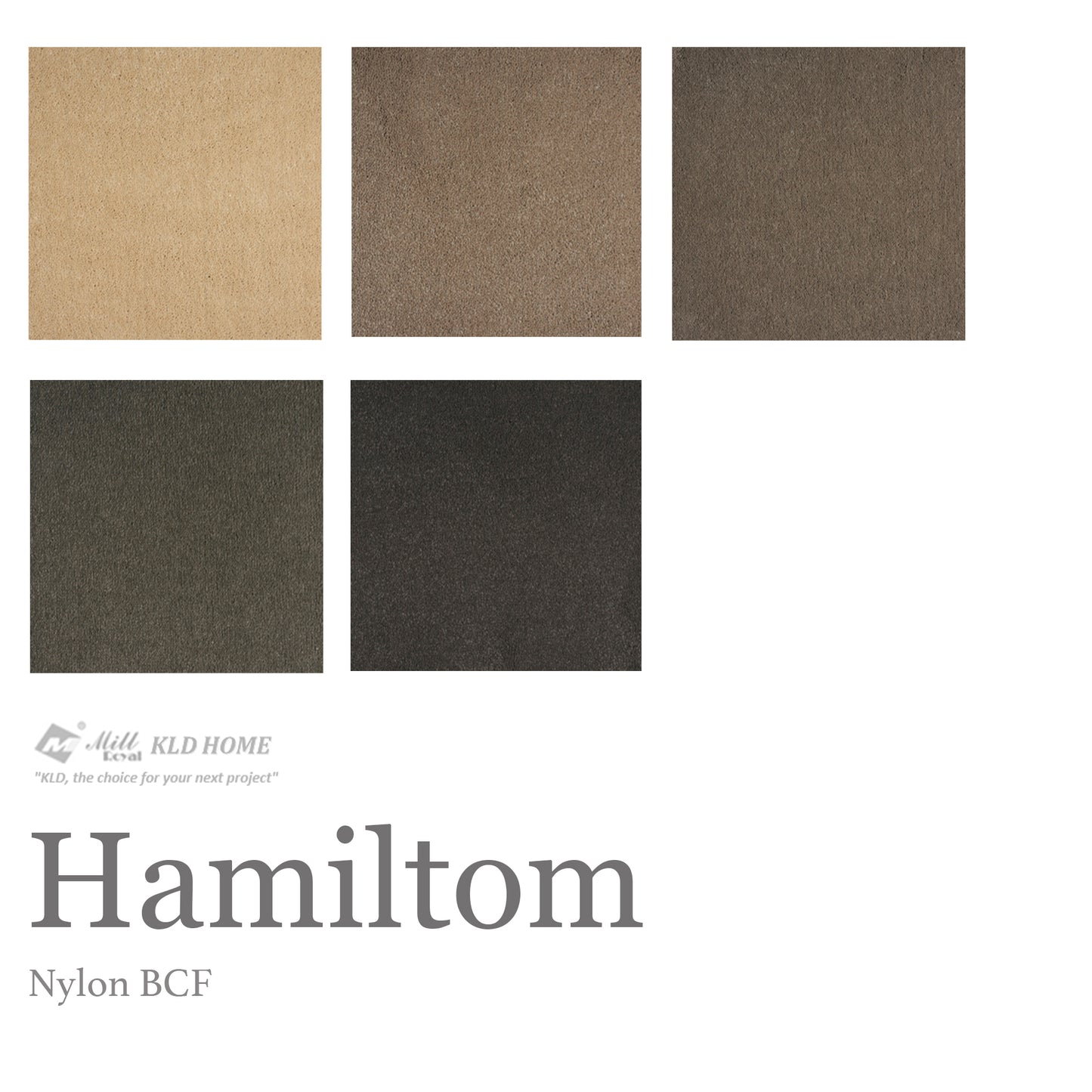 Hamilton Nylon Carpet Collection Nylon Carpet by KLD Home