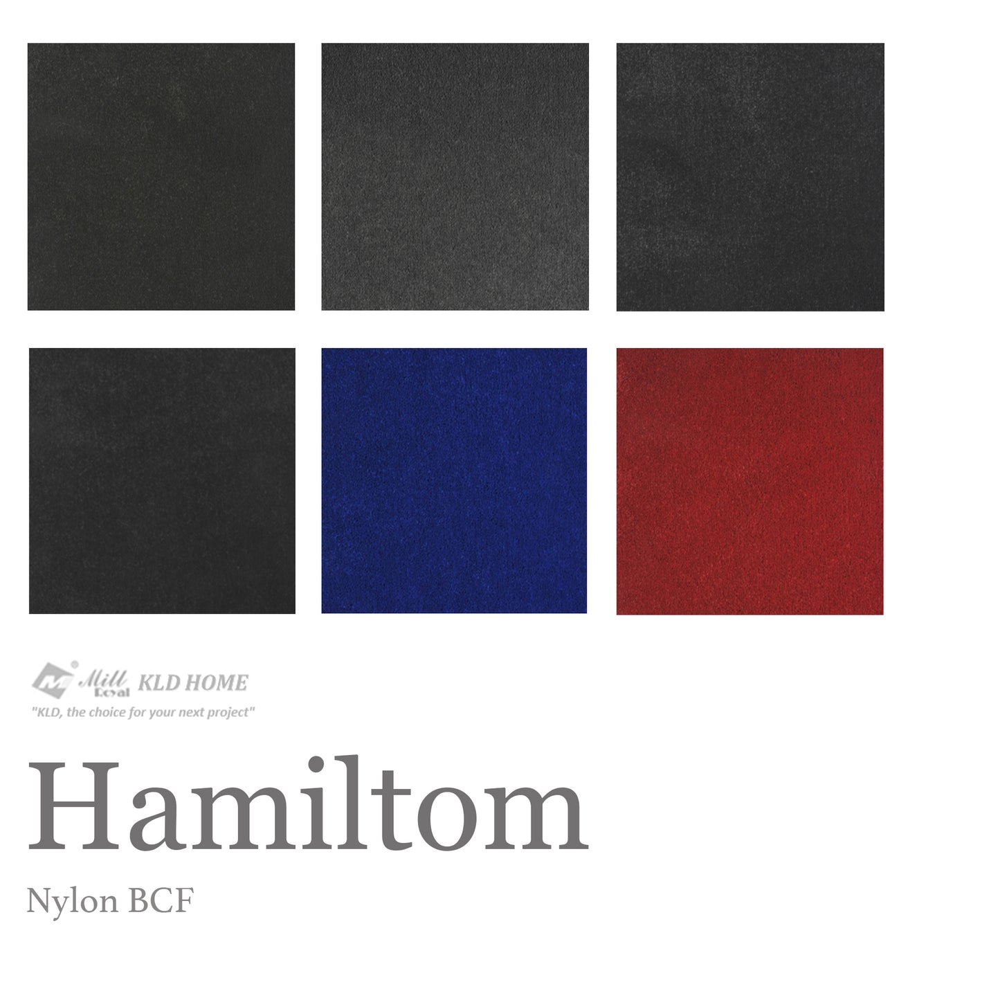 Hamilton Nylon Carpet Collection Nylon Carpet by KLD Home