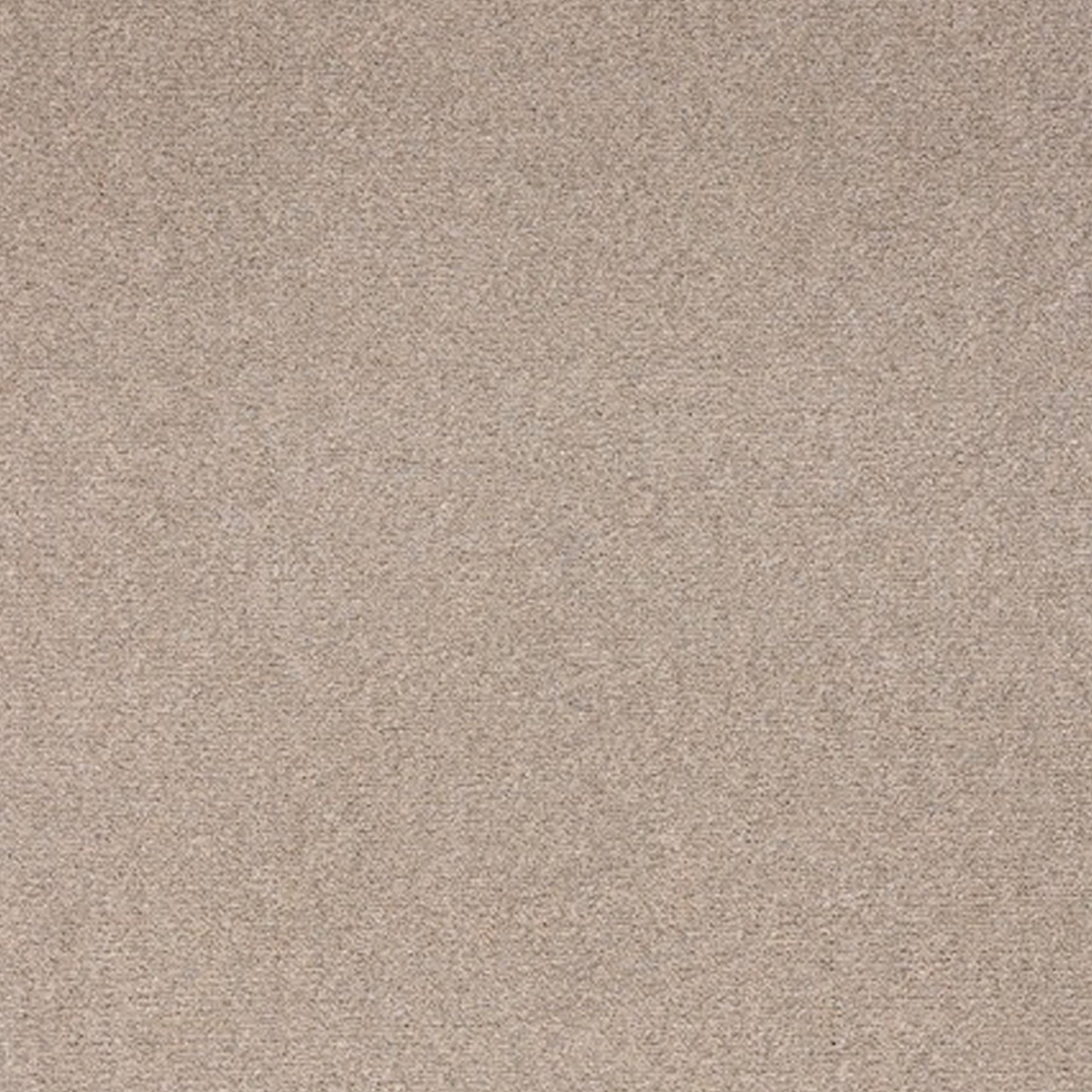 Satisfaction Polypropylene Carpet Collection Polypropylene Carpet by KLD Home