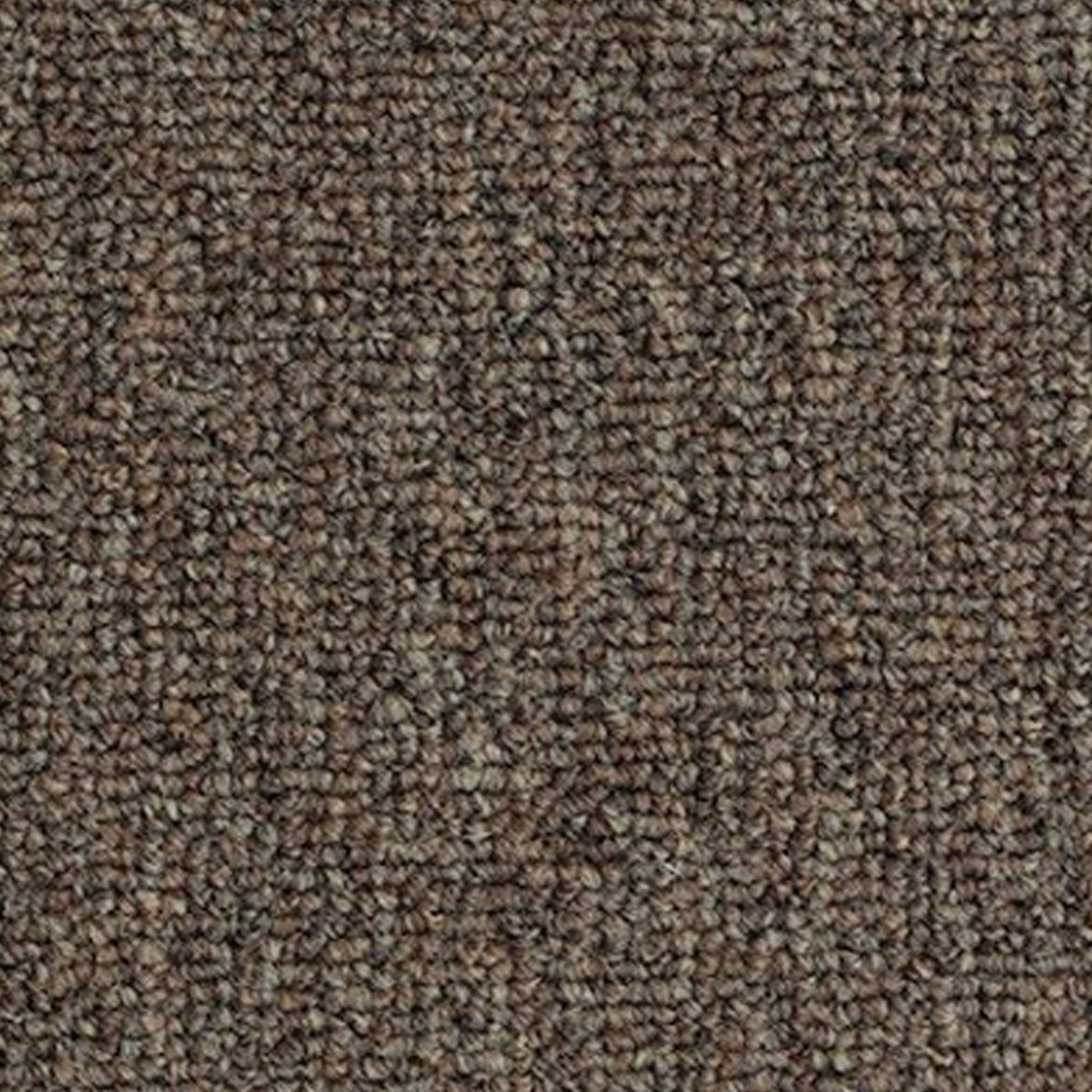 Fusion 20 Polypropylene Carpet Collection Polypropylene Carpet by KLD Home
