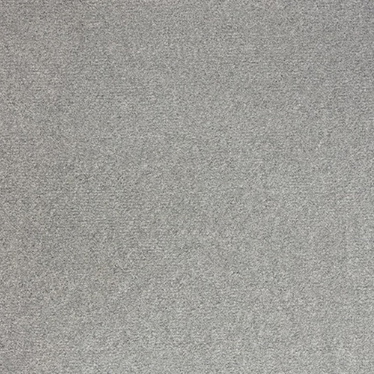 Satisfaction Polypropylene Carpet Collection Polypropylene Carpet by KLD Home