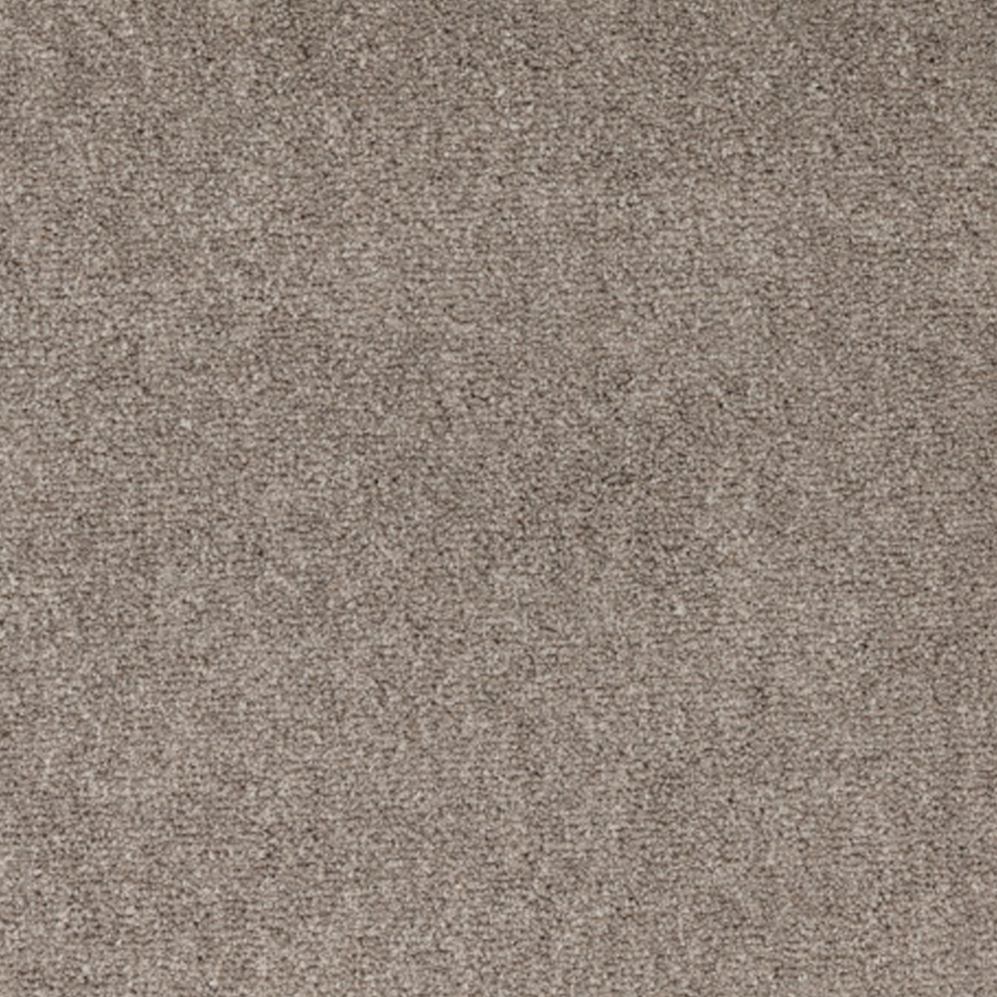 Let's Dance II Polyester Carpet Collection Polyester Carpet by KLD Home