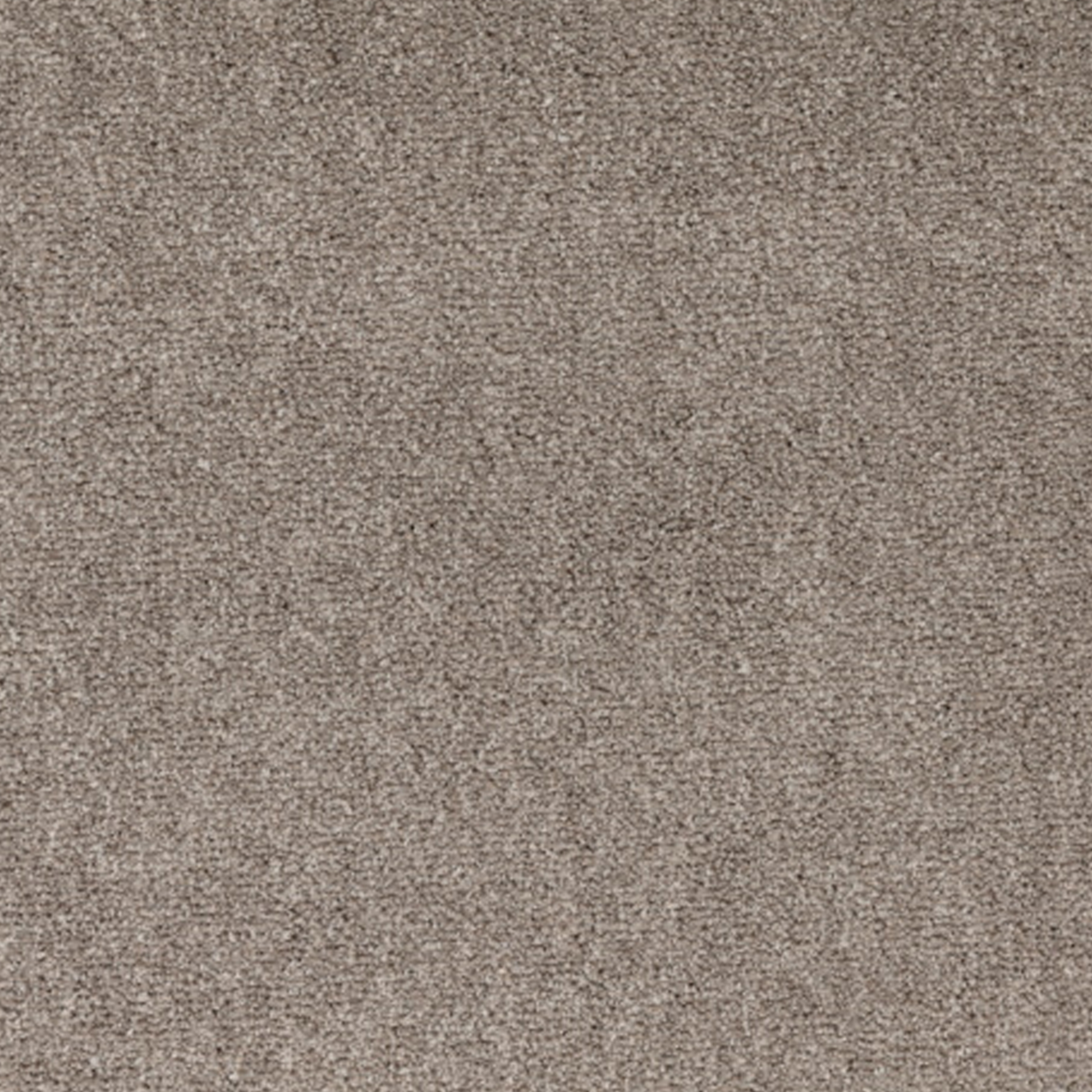 Let's Dance II Polyester Carpet Collection Polyester Carpet by KLD Home