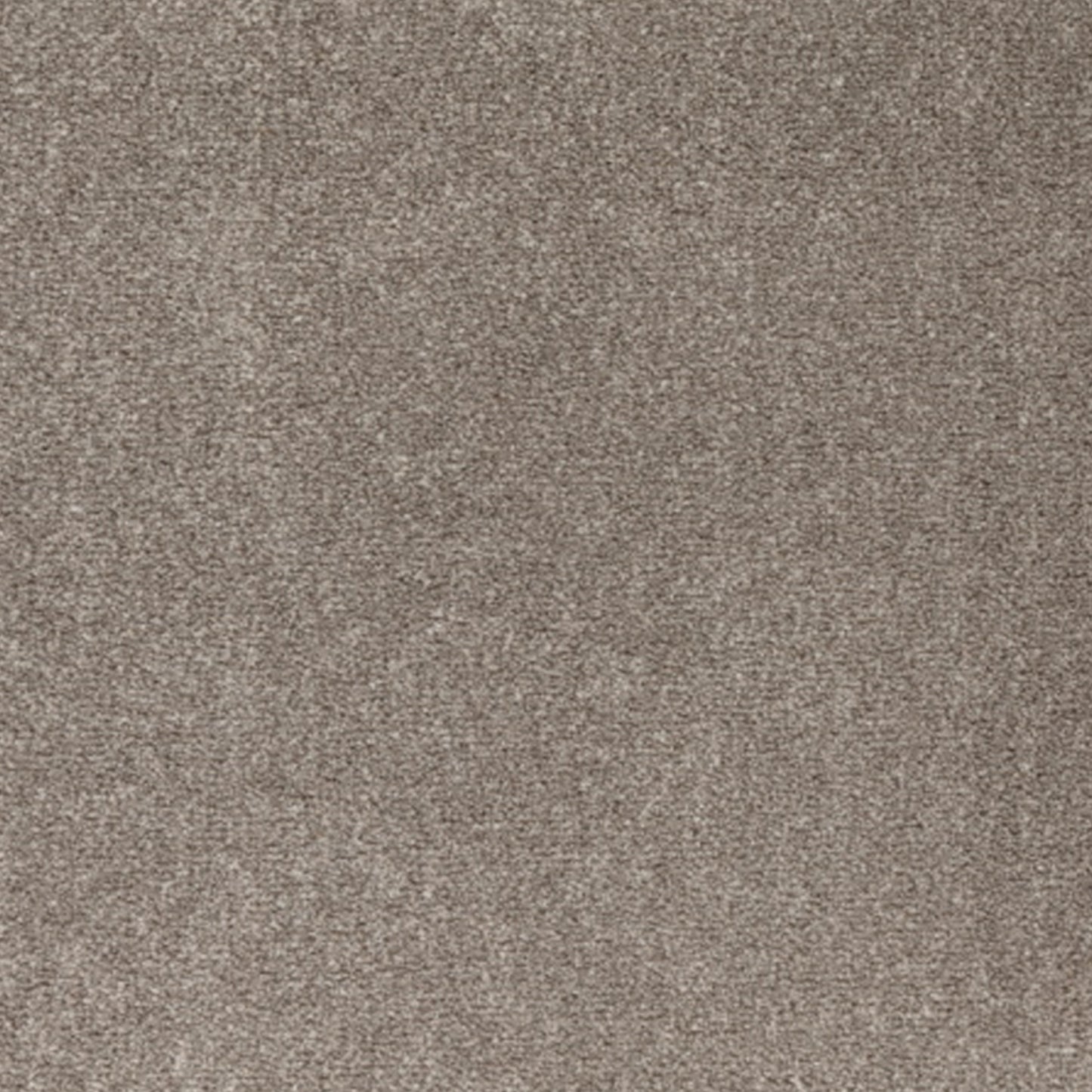 Salsa Polyester Carpet Collection Polyester Carpet by KLD Home