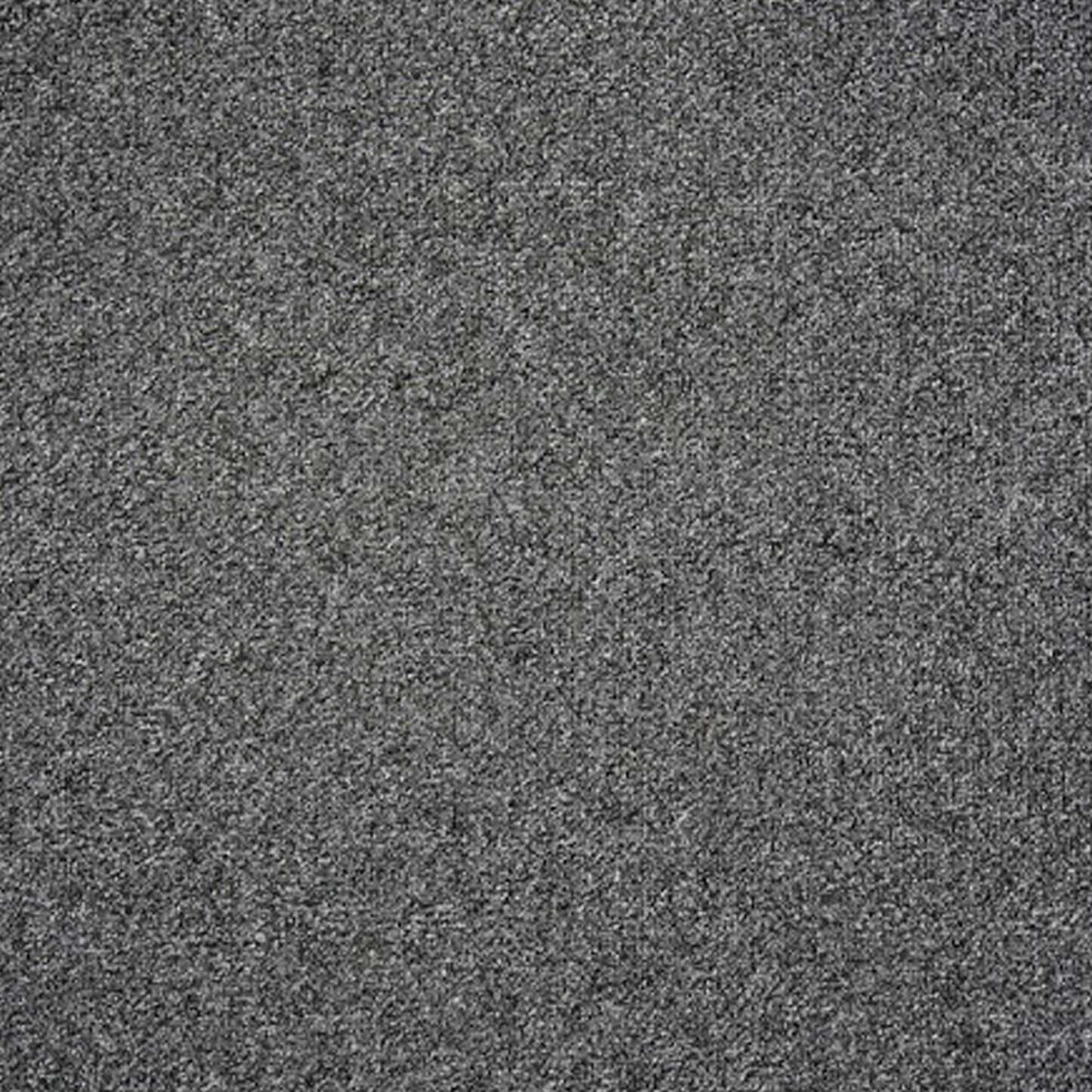 Satisfaction Polypropylene Carpet Collection Polypropylene Carpet by KLD Home