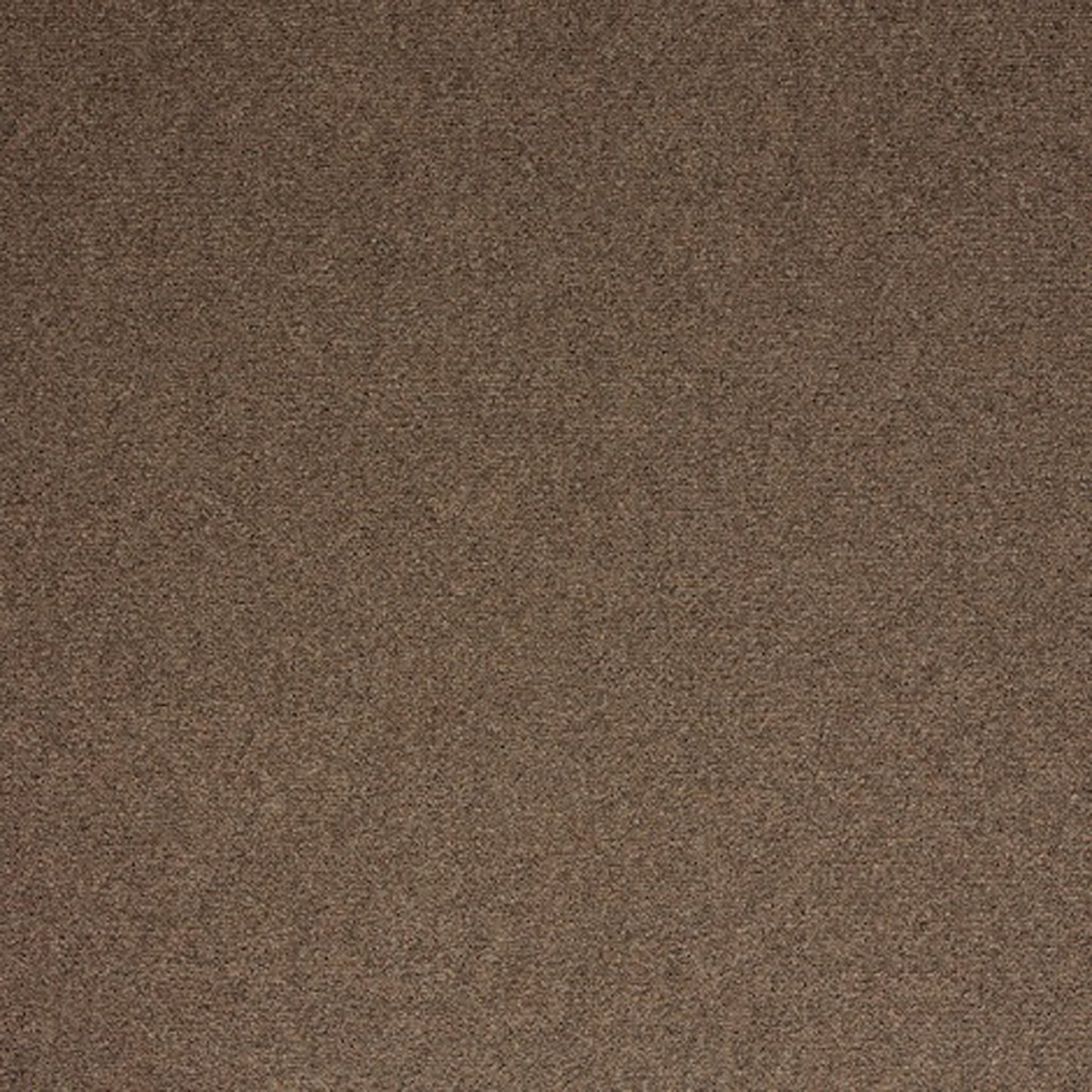 Satisfaction Polypropylene Carpet Collection Polypropylene Carpet by KLD Home